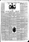Southampton Observer and Hampshire News Saturday 04 November 1893 Page 6