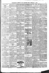 Southampton Observer and Hampshire News Saturday 10 February 1906 Page 11