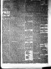 Annandale Herald and Moffat News Thursday 19 June 1879 Page 3