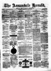 Annandale Herald and Moffat News Thursday 22 January 1880 Page 1