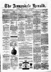 Annandale Herald and Moffat News Thursday 29 January 1880 Page 1