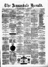 Annandale Herald and Moffat News Thursday 26 February 1880 Page 1