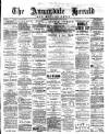 Annandale Herald and Moffat News Thursday 03 January 1889 Page 1