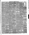 Annandale Herald and Moffat News Thursday 10 March 1892 Page 3