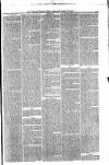 Ayrshire Weekly News and Galloway Press Saturday 22 March 1879 Page 5