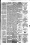 Ayrshire Weekly News and Galloway Press Saturday 05 April 1879 Page 3