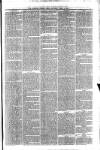 Ayrshire Weekly News and Galloway Press Saturday 05 April 1879 Page 5