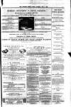 Ayrshire Weekly News and Galloway Press Saturday 03 May 1879 Page 7