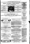 Ayrshire Weekly News and Galloway Press Saturday 07 June 1879 Page 7