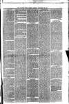 Ayrshire Weekly News and Galloway Press Saturday 20 September 1879 Page 3