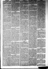 Ayrshire Weekly News and Galloway Press Saturday 03 January 1880 Page 5