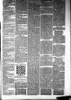 Ayrshire Weekly News and Galloway Press Saturday 10 January 1880 Page 3