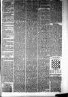 Ayrshire Weekly News and Galloway Press Saturday 31 January 1880 Page 3
