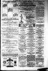 Ayrshire Weekly News and Galloway Press Saturday 21 February 1880 Page 7