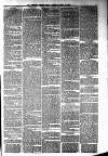 Ayrshire Weekly News and Galloway Press Saturday 10 April 1880 Page 3