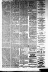 Ayrshire Weekly News and Galloway Press Saturday 06 November 1880 Page 3