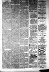 Ayrshire Weekly News and Galloway Press Saturday 04 December 1880 Page 3