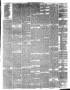 Bridge of Allan Reporter Saturday 03 February 1877 Page 3