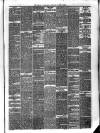 Border Advertiser Wednesday 03 March 1875 Page 3