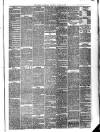 Border Advertiser Wednesday 14 April 1875 Page 3