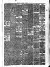 Border Advertiser Wednesday 30 June 1875 Page 3
