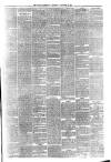 Border Advertiser Wednesday 15 December 1880 Page 3