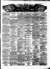 South London Journal Saturday 24 February 1877 Page 1