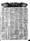 South London Journal Saturday 19 January 1889 Page 1