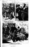 Boxing World and Mirror of Life Saturday 17 November 1894 Page 13