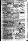 Boxing World and Mirror of Life Saturday 08 February 1896 Page 11