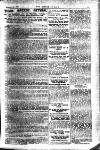 Boxing World and Mirror of Life Saturday 15 February 1896 Page 11