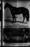 Boxing World and Mirror of Life Saturday 15 August 1896 Page 5