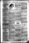 Boxing World and Mirror of Life Wednesday 11 November 1896 Page 7