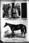 Boxing World and Mirror of Life Wednesday 28 July 1897 Page 4