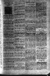 Boxing World and Mirror of Life Wednesday 03 May 1899 Page 3