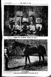 Boxing World and Mirror of Life Wednesday 28 January 1903 Page 9