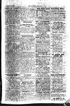 Boxing World and Mirror of Life Wednesday 17 February 1904 Page 15