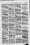 Boxing World and Mirror of Life Wednesday 08 February 1905 Page 10
