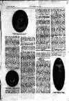 Boxing World and Mirror of Life Saturday 08 February 1908 Page 6