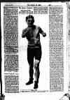 Boxing World and Mirror of Life Saturday 04 February 1911 Page 5