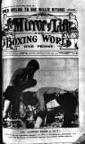 Boxing World and Mirror of Life