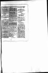 Antigua Standard Friday 01 February 1884 Page 9
