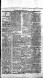 Antigua Standard Tuesday 01 July 1884 Page 3