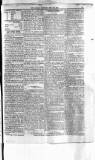 Antigua Standard Thursday 10 July 1884 Page 3