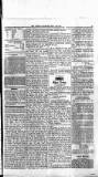 Antigua Standard Wednesday 16 July 1884 Page 3