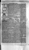 Antigua Standard Saturday 26 July 1884 Page 3