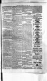 Antigua Standard Saturday 26 July 1884 Page 5