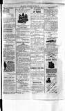 Antigua Standard Saturday 26 July 1884 Page 7