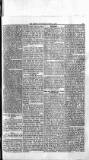 Antigua Standard Friday 01 August 1884 Page 5