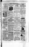 Antigua Standard Sunday 10 August 1884 Page 7